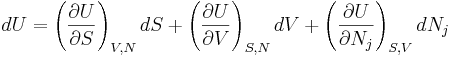 dU=\left(\frac{\partial U}{\partial S}\right)_{V,N} dS+\left(\frac{\partial U}{\partial V}\right)_{S,N}dV+\left(\frac{\partial U}{\partial N_j}\right)_{S,V} dN_j