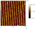 AFM virus.jpg