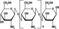 Chitosan Haworth.jpg