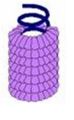 Helical-capsid.jpg